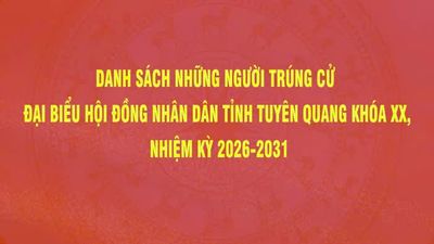 nhuận bút nếu