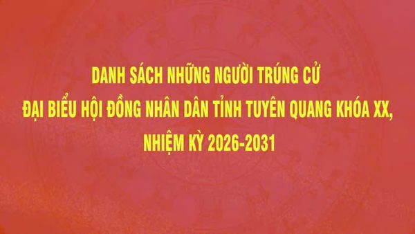 nhuận bút nếu